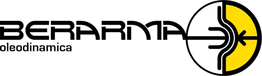 logo-berarma-69fdc2658d17a